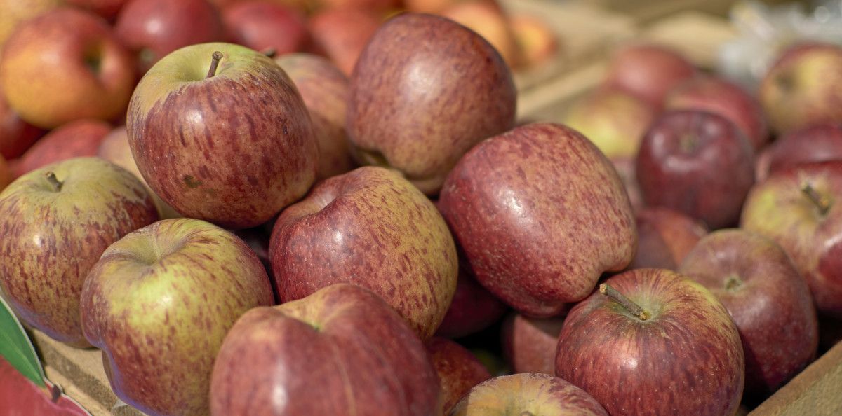 Fruta de mi tierra oferta manzana de calidad para el consumo nacional